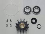 KIT SERVICE JOHNSON POMPE F6B-9