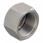 Bouchon F Inox - 1/2''