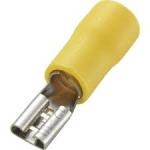 CLIPS PRE-ISOLE JAUNE FEMELLE L 6,3 (BOITE DE 50)