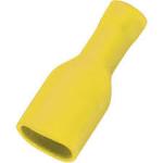 CLIPS TOUT ISOLE JAUNE FEMELLE  L 6,3 (BOITE DE 50)