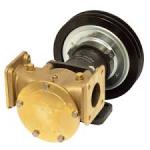 POMPE A ROTOR FLEXIBLE F8B-5000-VF 279L/MIN