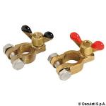 Paire de cosses en bronze pour batteries