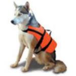 Brassire chien et chat moin de 8KG tour de poitrine max 50