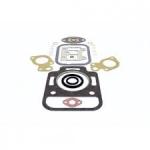 Pochette rodage VOLVO DIESEL 875422