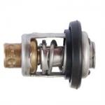 Thermostat adaptable  MERCURY 8556761