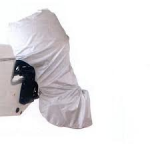 LALIZAS