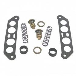 KIT THERMOSTAT ADAPTABLE JOHNSON V4