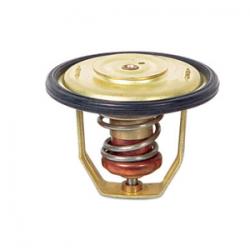 Thermostat 60 VOLVO ESSENCE rf origine 876097