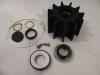 Kit turbine JOHNSON PUMP