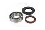 Kit roulement de cloche adaptable  VOLVO DPH/DPR